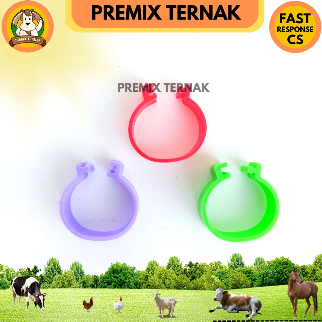 Gelang Kaki Ayam Bebek Adjustable POLOS 5 pcs