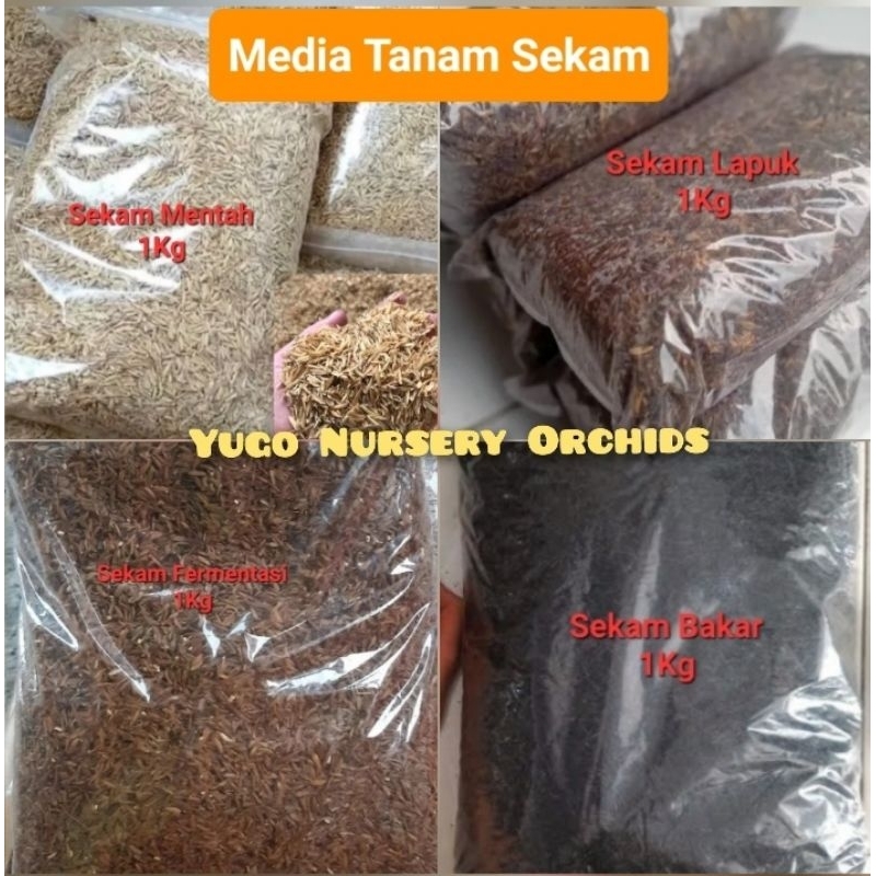 Media Tanam Sekam 1Kg Sekam Bakar Sekam Lapuk Sekam Fermentasi Sekam Mentah