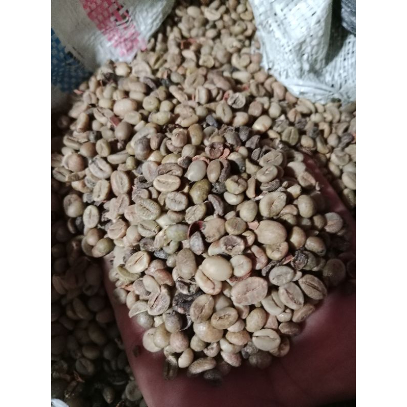 

kopi gayo biji robosta belum sortir COD