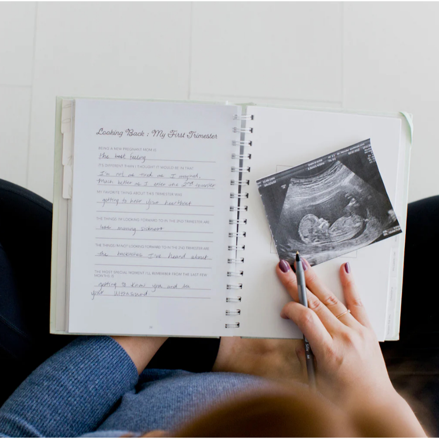 Pearhead Pregnancy Journal - Buku Jurnal Kehamilan Pregnancy Book Jurnal Kelahiran Baby Pregnancy Memory Book