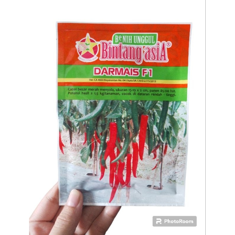 benih cabe besar DARMAIS F1 10 grm