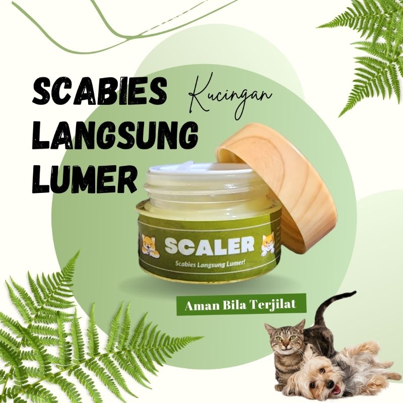 Salep Kucingan Obat Scabies Koreng Gudik Ampuh