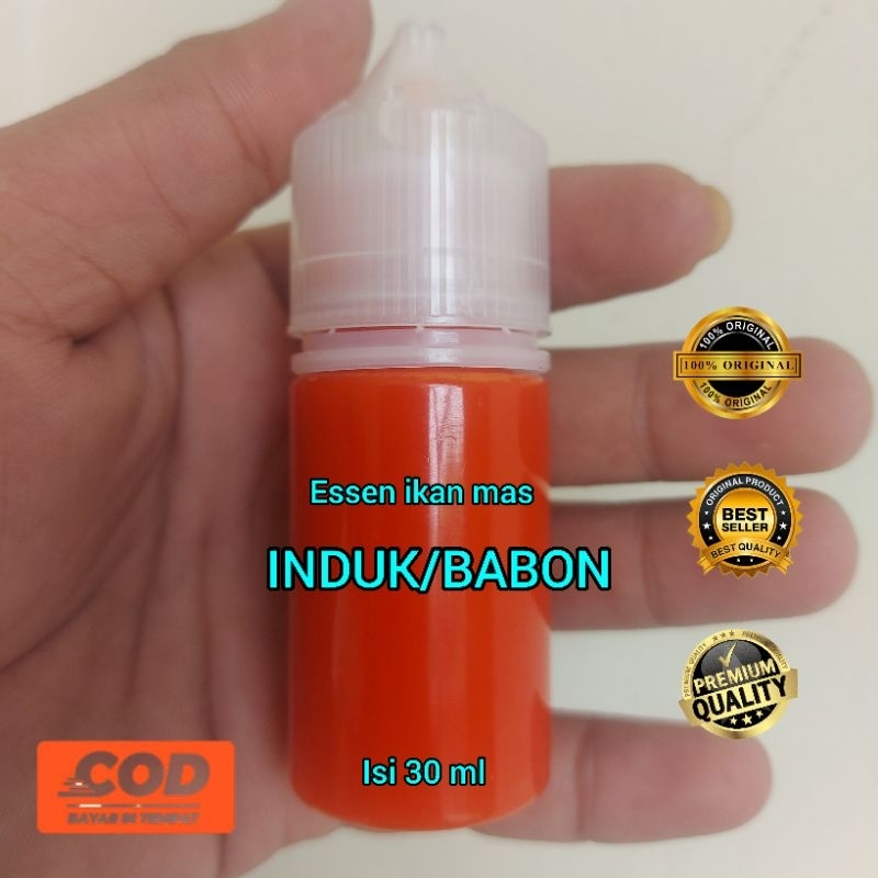 ESSEN IKAN MAS, OPLOSAN GARONG INDUK