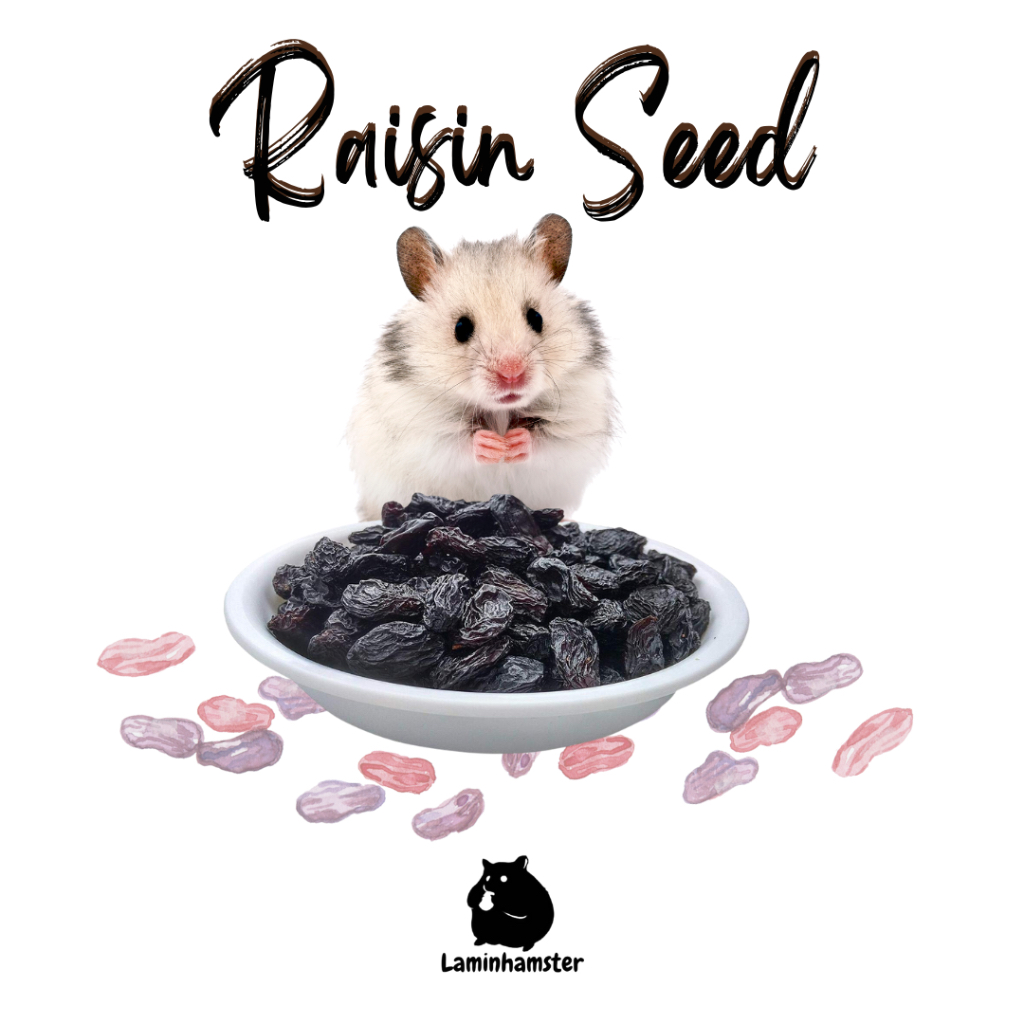 

Raisin 15gram Repack