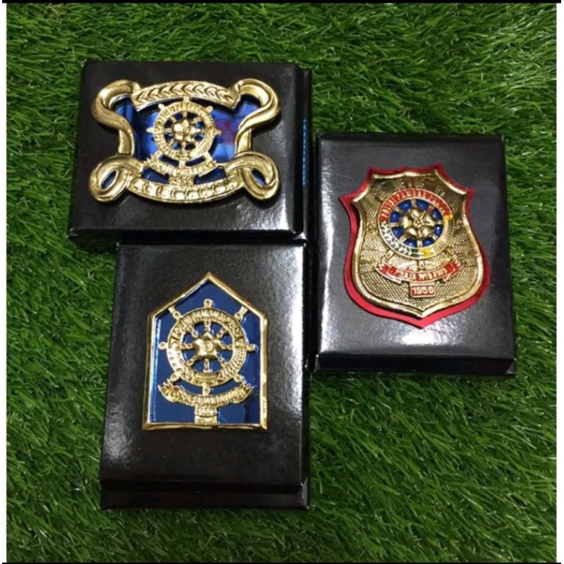 kewenangan pol pp,emblem pol pp/kewenangan pol pp emblem baret pol pp kupu kupu dan segilima
