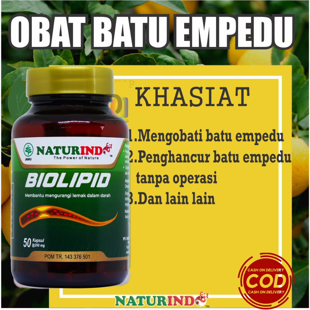 Obat batu empedu obat penghancur batu empedu tanpa operasi paling ampuh herbal