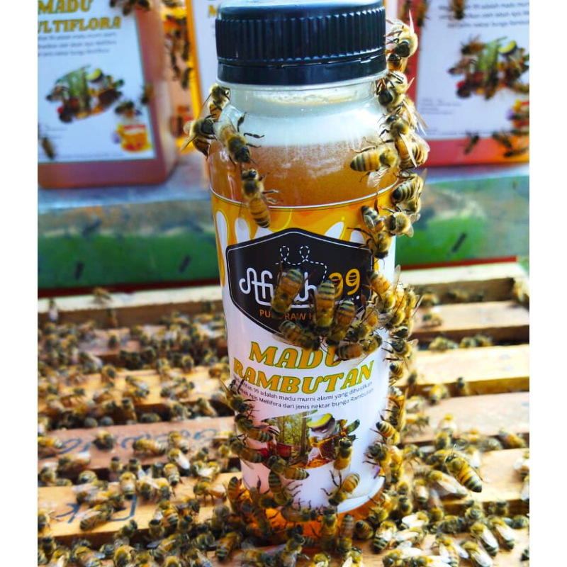 

Madu Murni Afifah 99 Nektar Bunga Rambutan (250 ml) Madu Rambutan - Madu Asli Raw Honey