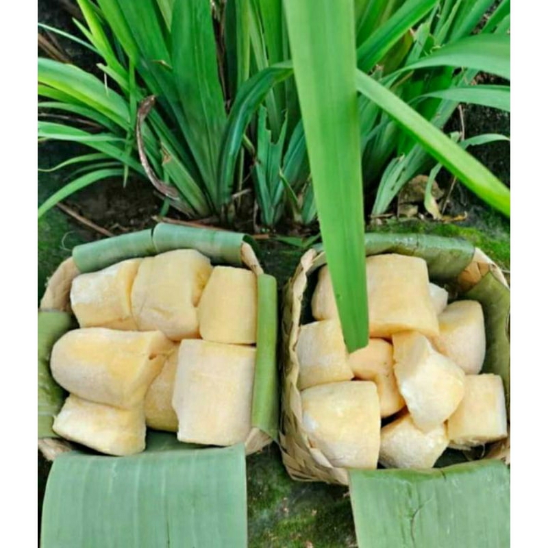 

Tape gembong kualitas premium