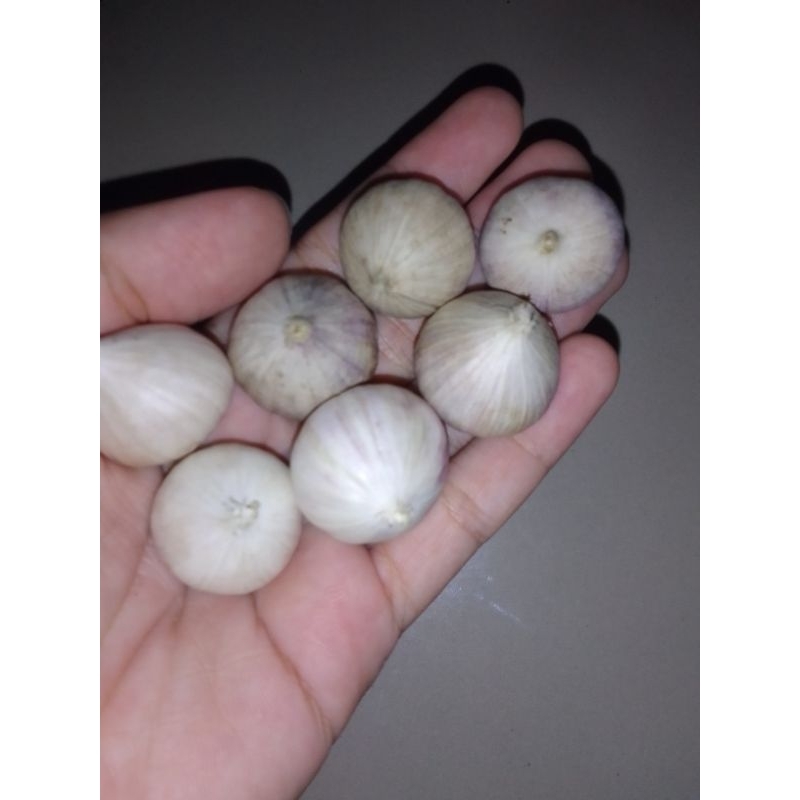 

Bawang Putih Tunggal 250gram / Bawang Lanang (Solo Garlic)