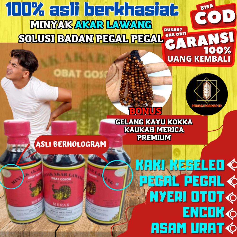 [Original] Minyak Urut Pijat Akar Lawang Mengobati Saraf Kejepit Patah Tulang Stroke | Akar Lawang D