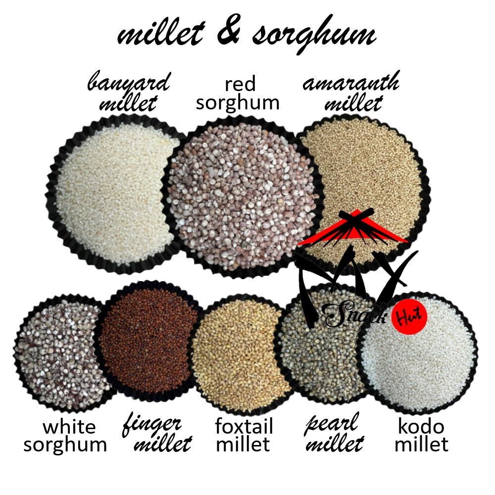 MILLET SORGHUM - BERAS BIJI PEARL KODO FOXTAIL AMARATH FINGER BANYARD POWDER TEPUNG FLOUR SORGUM MILET