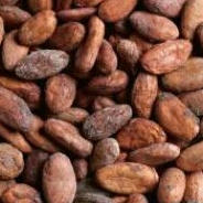 Biji Kakao / Coklat Kering Berkualitas 1Kg