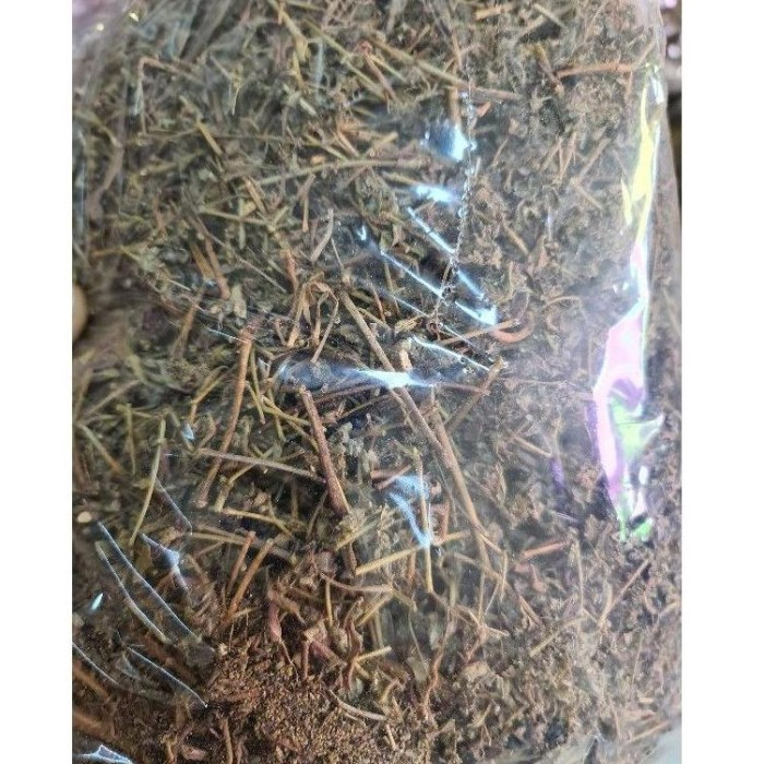 

TERBAIK PATEKAN KERING /PATIKAN KEBO HERBAL 250 GRAM