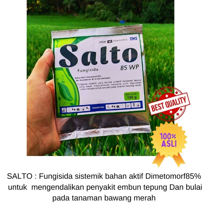 

SALTO : Fungisida sistemik bahan aktif Dimetomorf 80%