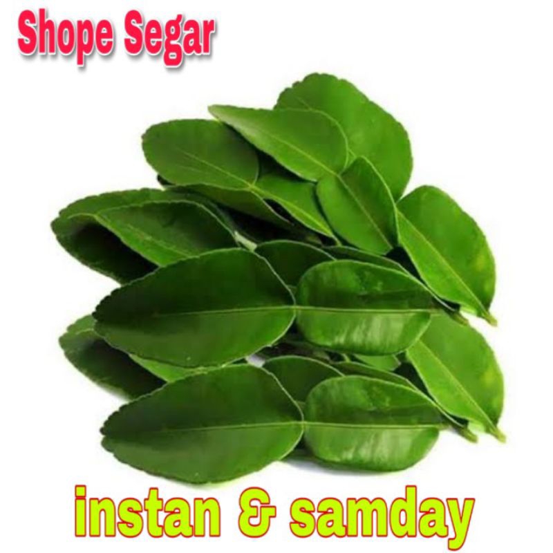 

Daun Jeruk Segar 100 gram