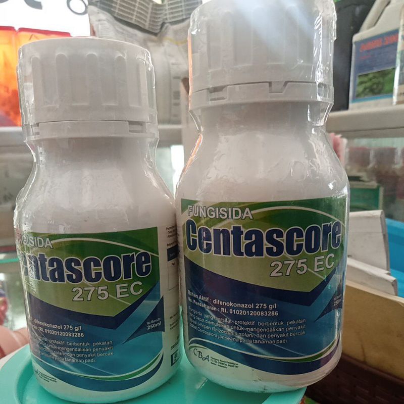 FUNGSIDA CENTASECORE