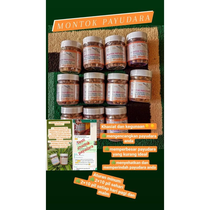 jamu montok payudara
