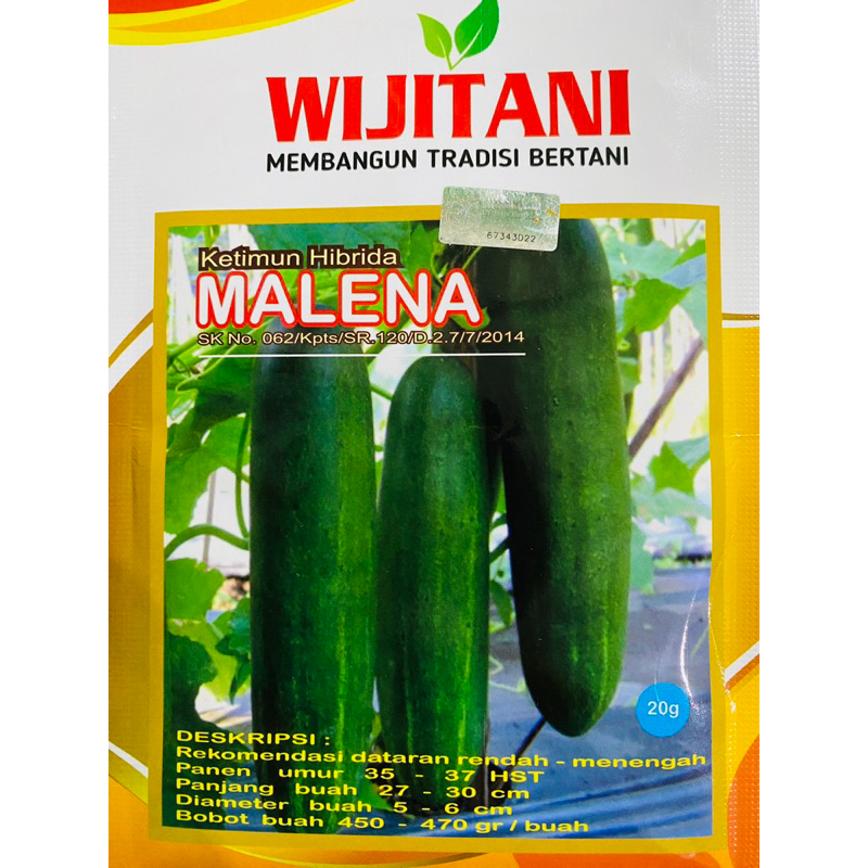 Bneih Ketimun Hibrida MALENA 20Gr Wiji Tani