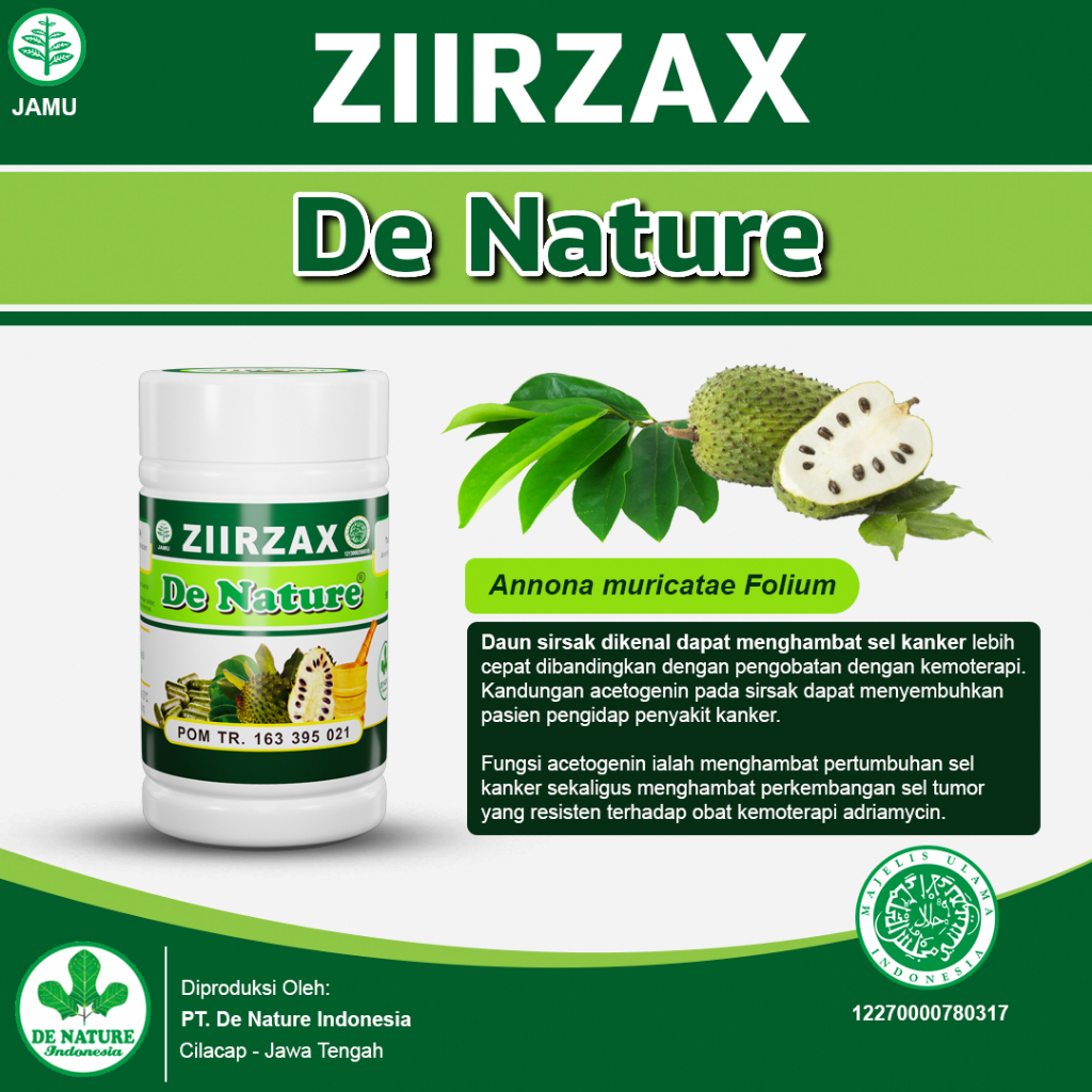 Terlaris Ziirzax Denature Obat Benjolan Kanker Tumor Payudara, Hipertiroid, Gondok Beracun Menahun P