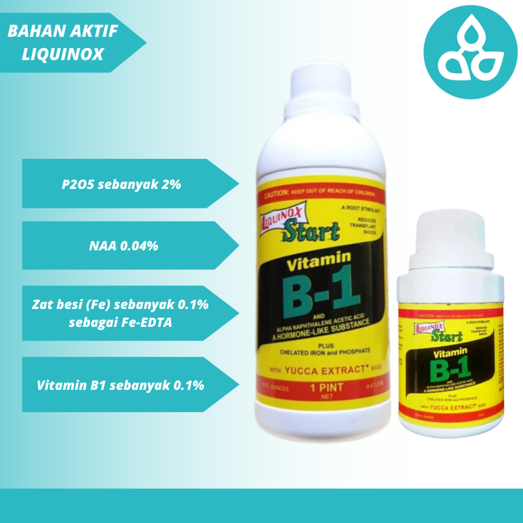 Pupuk Vitamin B1 Liquinox Start 100 ml Anti Stress Semua Jenis Tanaman