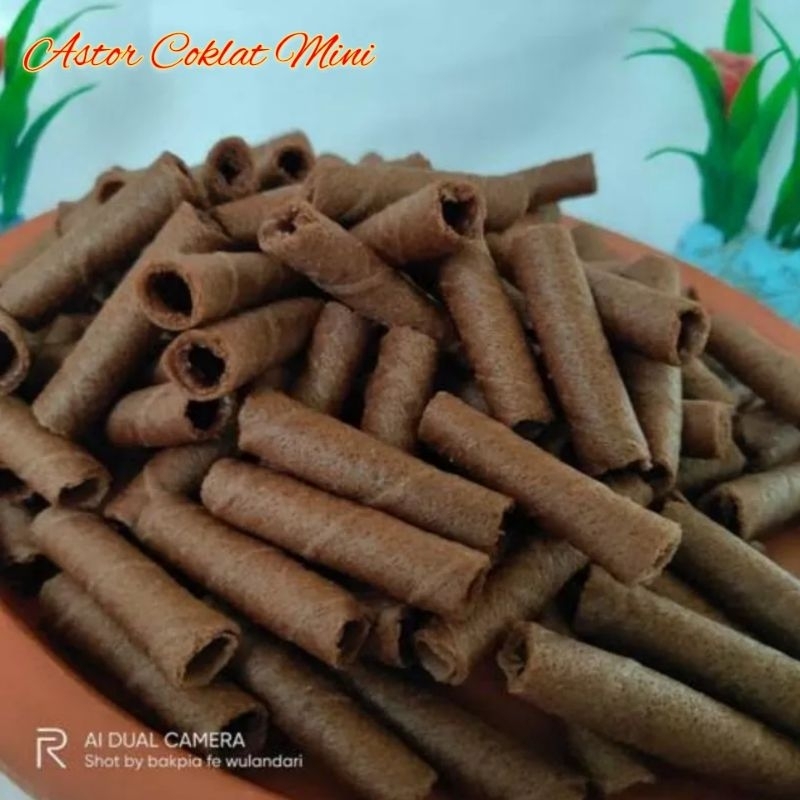 

ASTOR COKLAT MINI 250 GRAM WAFER BARCELONA