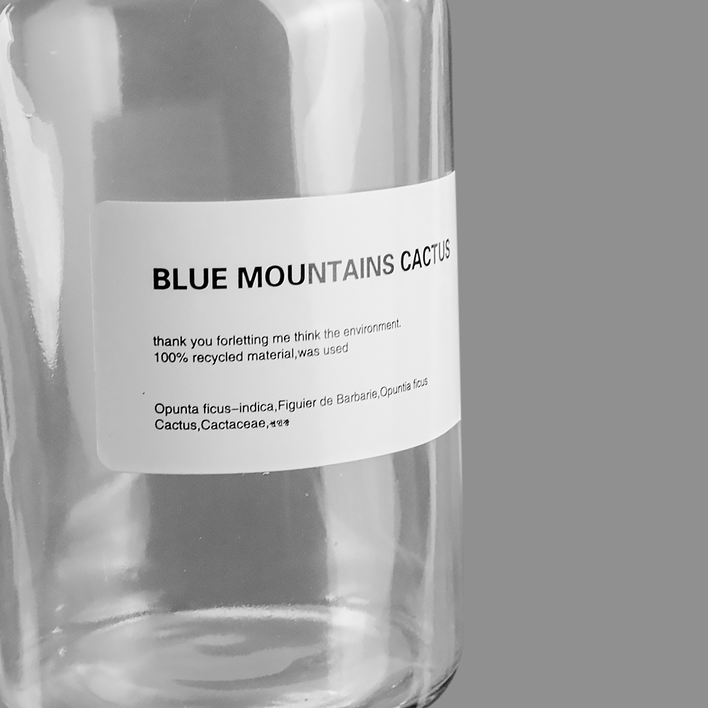 Vas Bunga Botol Kaca Aesthetic Bottle Vases Flower Pot 1000 ml - EN549