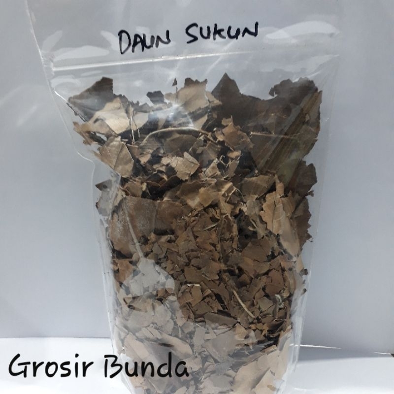 

Daun Sukun Kering 250 Gram / Herbal Ginjal / Kolesterol / Jantung / Gagal Ginjal