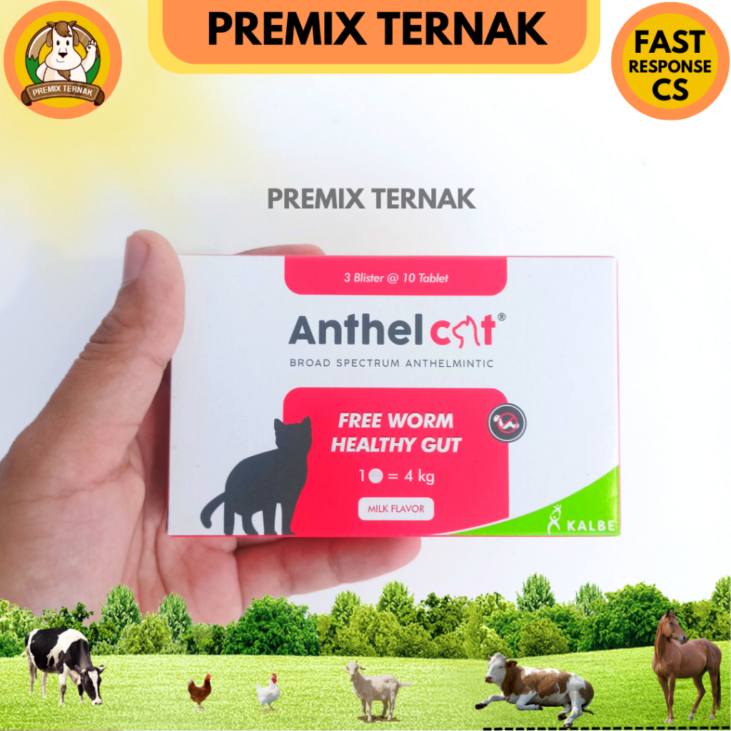 ANTHEL CAT 30 TABLET (KEMASAN BLISTER) - Obat Cacing Kucing LIKE DRONTAL CAT