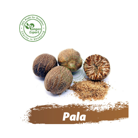 

Biji Pala Nutmeg Premium / Buah Bumbu Sayur Masak by Pangan Export - 3 pcs