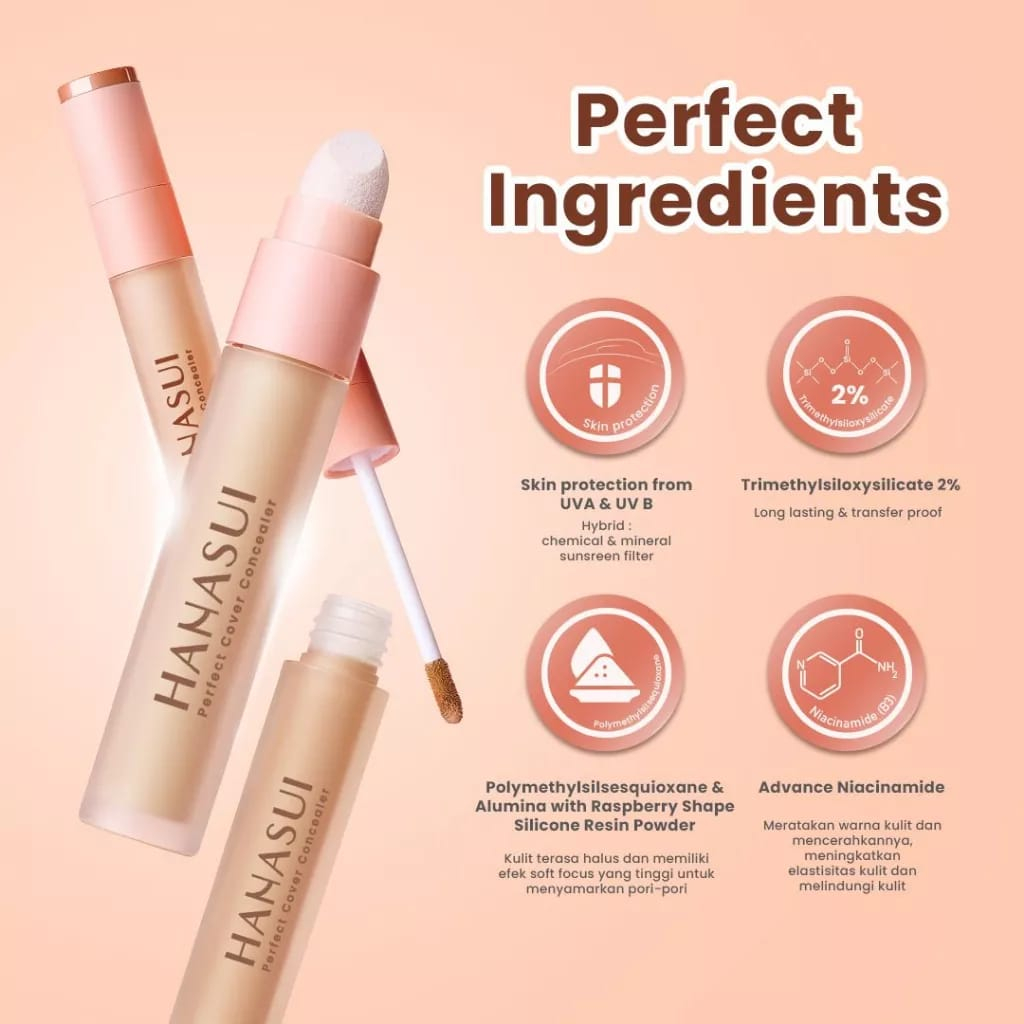 Hanasui Perfect Cover Concealer