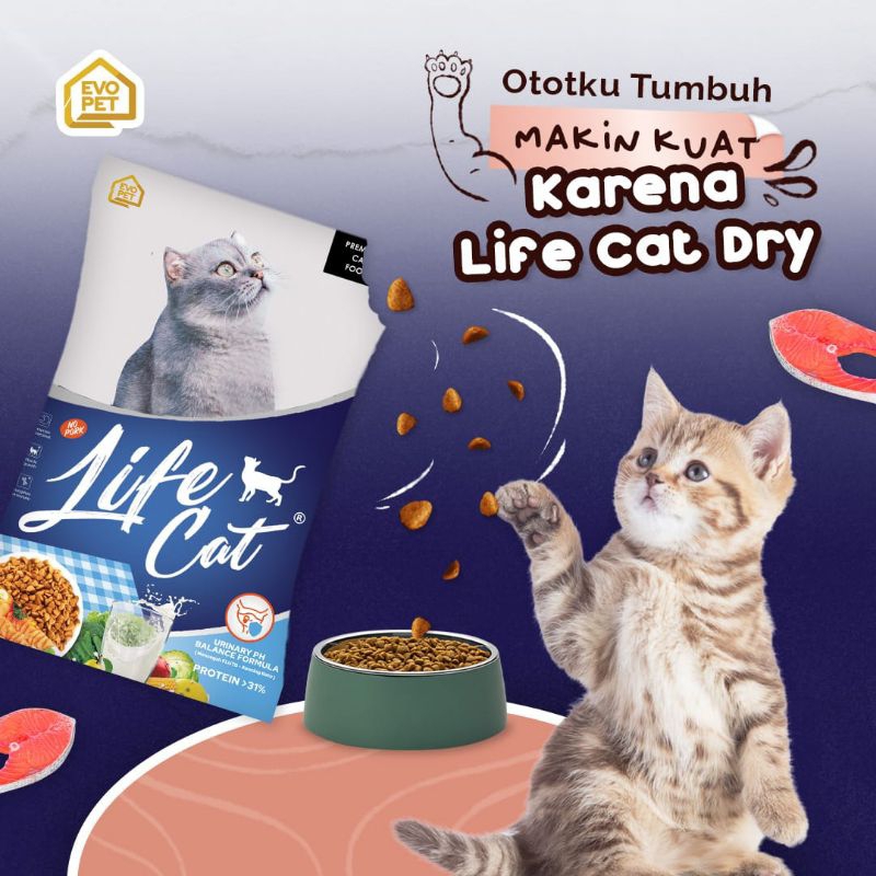 (Expedisi) Life cat - makanan kering kucing repack 10kg