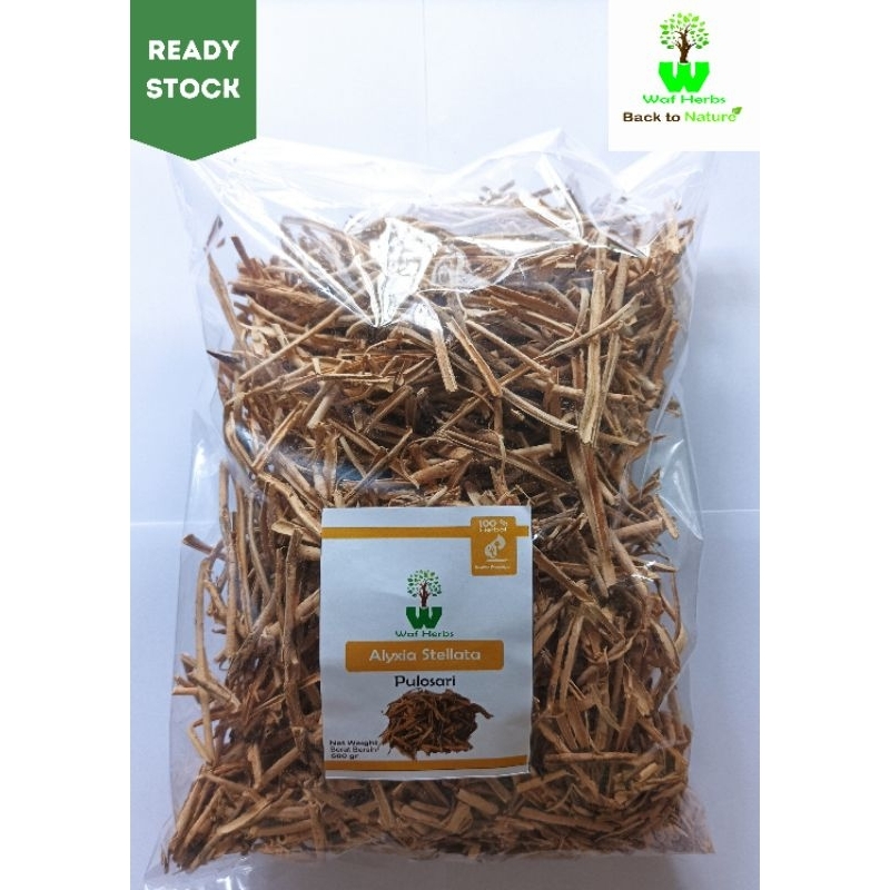 

Pulosari Kering 500 Gram / Kulit Kayu Pulosari Kering