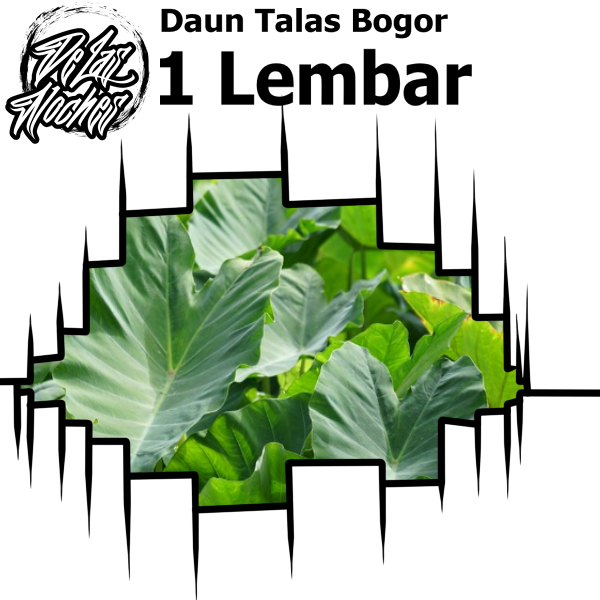 

Daun talas Bogor/ fresh murah / bungkus buntil / masakan buntil segar lebar 1 lembar satuan untuk pakan ikan