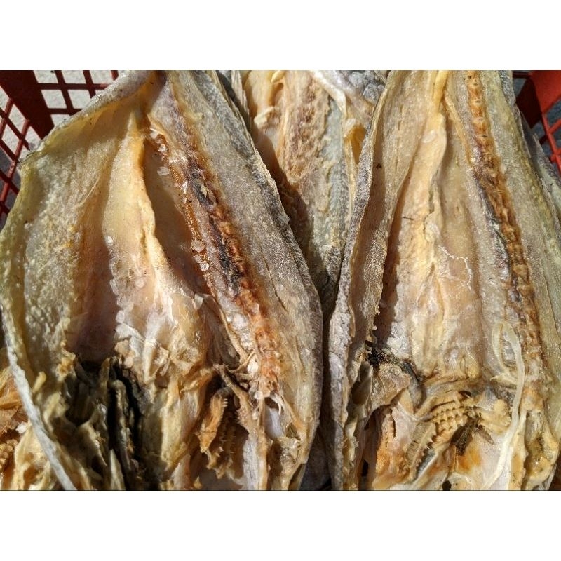 

IKAN ASIN GULAMA | IKAN KEPALA BATU | IKAN GARIH | IKAN BELAH | JAMBAL MAYUNG | OLEH-OLEH KHAS INDRAGIRI HILIR | INHIL | TEMBILAHAN | RIAU