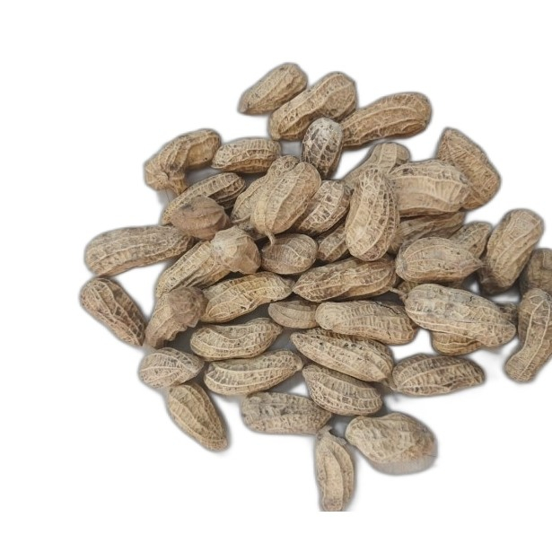 

kc sangray super 2kg