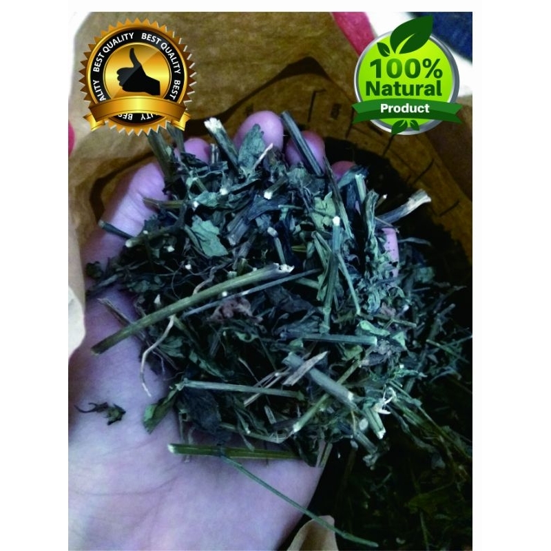 

Sambiloto Kering 500 Gram / Daun Sambiroto Kering