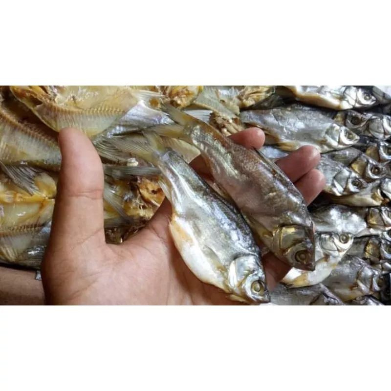 

Ikan Asin Nilem Banjar Masin 1kg