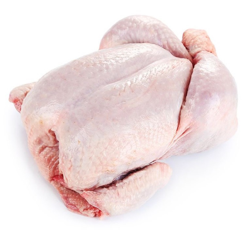 

Ayam Potong Fresh & Halal 1KG