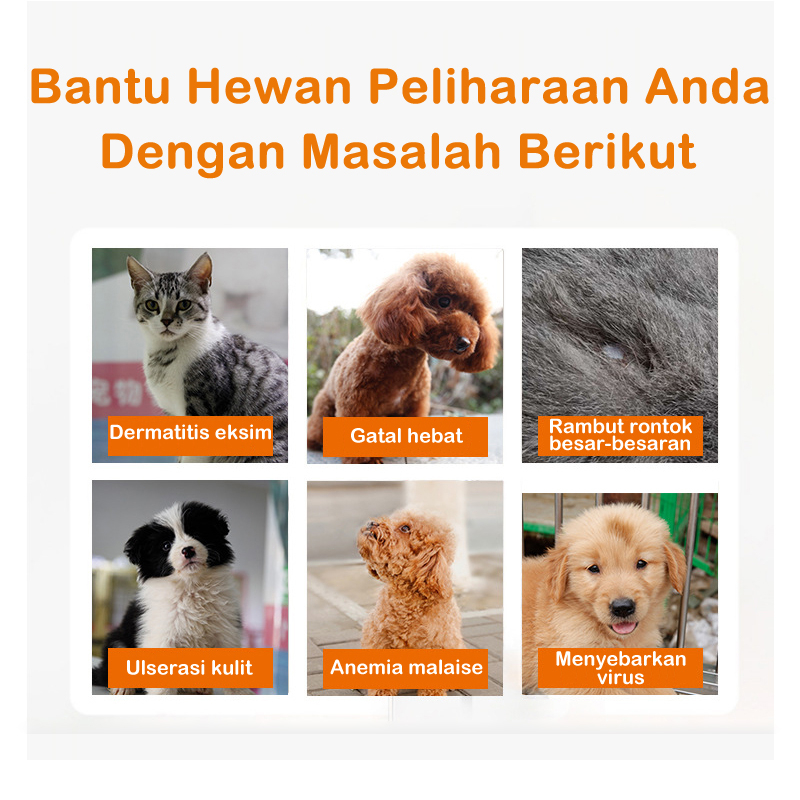 Obat Cacing Kucing Anjing Tetes Anthelmintik in Vitro Perawatan Kesehatan Hewan Anti Kutu Ticks Membunuh Telur Tungau Kudis