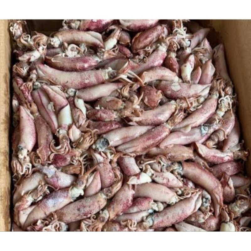 

Cumi Asin kemasan 1kg