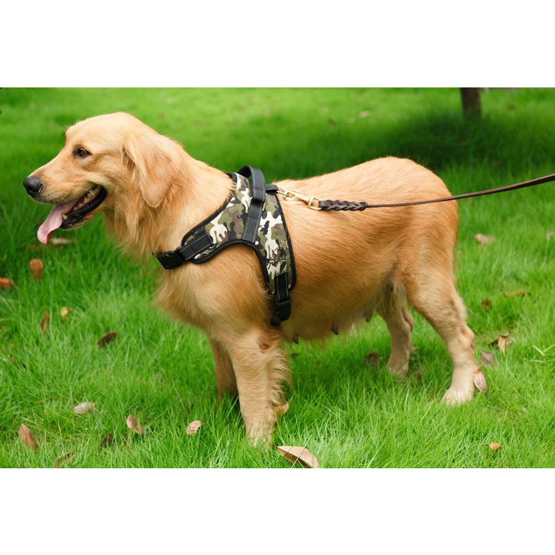 Rompi Harness Anjing Besar - Leash Harness Reflective Vest Large Dog - Harness Husky,Golden Retriever,Doberman