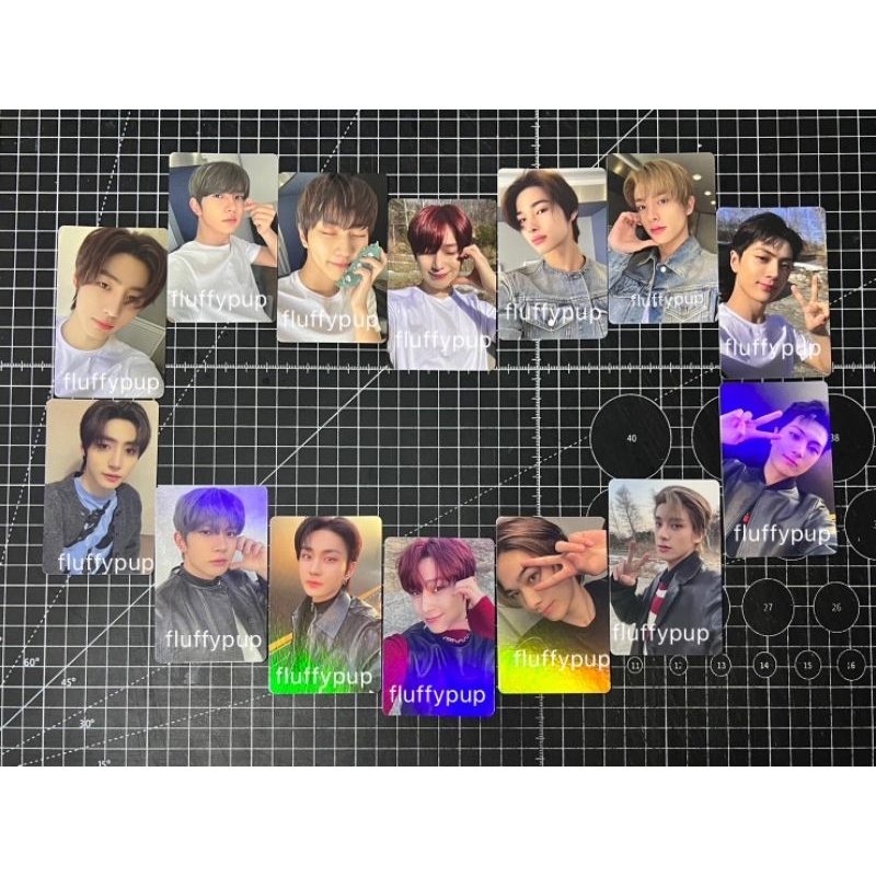 photocard showcase live weverse enhypen dark blood official reguler standard reg engene enver versio