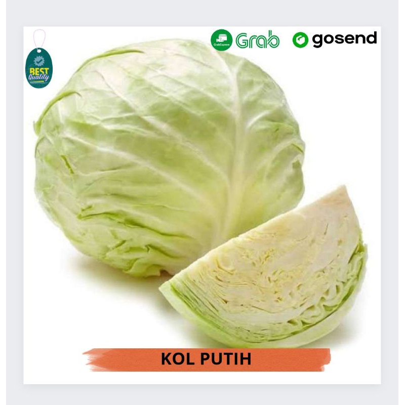 

Kol Putih Segar - 500gr