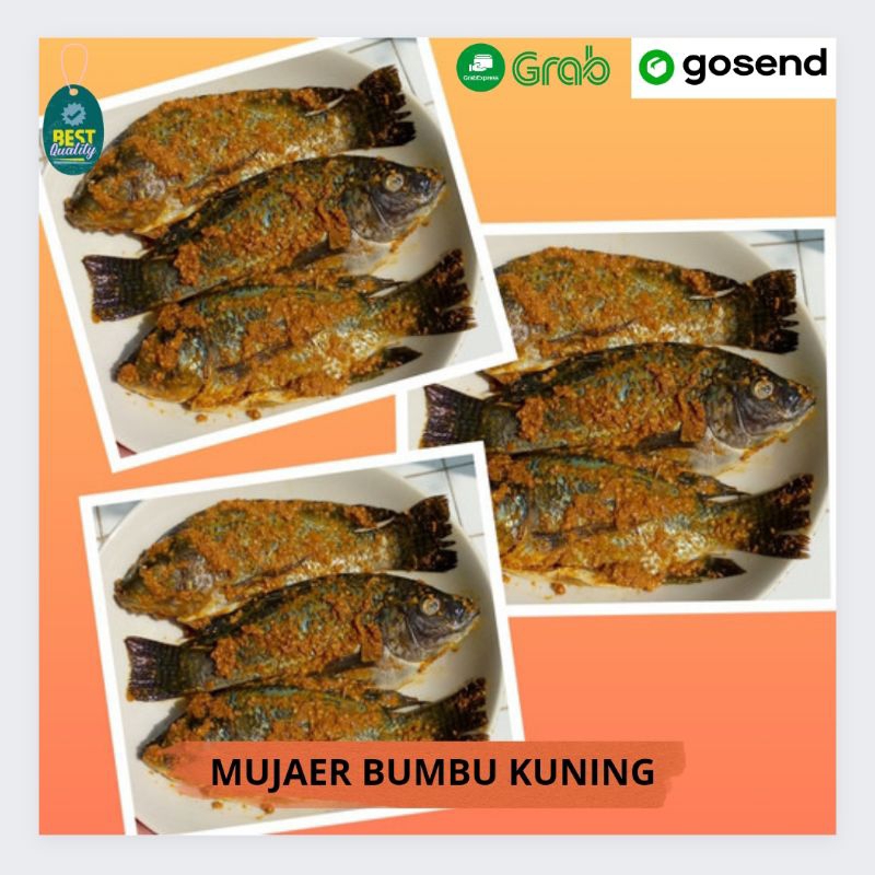 

Ikan Jaer Bumbu Kuning - 500gr