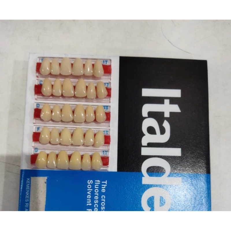 Gigi Artificial Gigi Palsu Italdent Dental