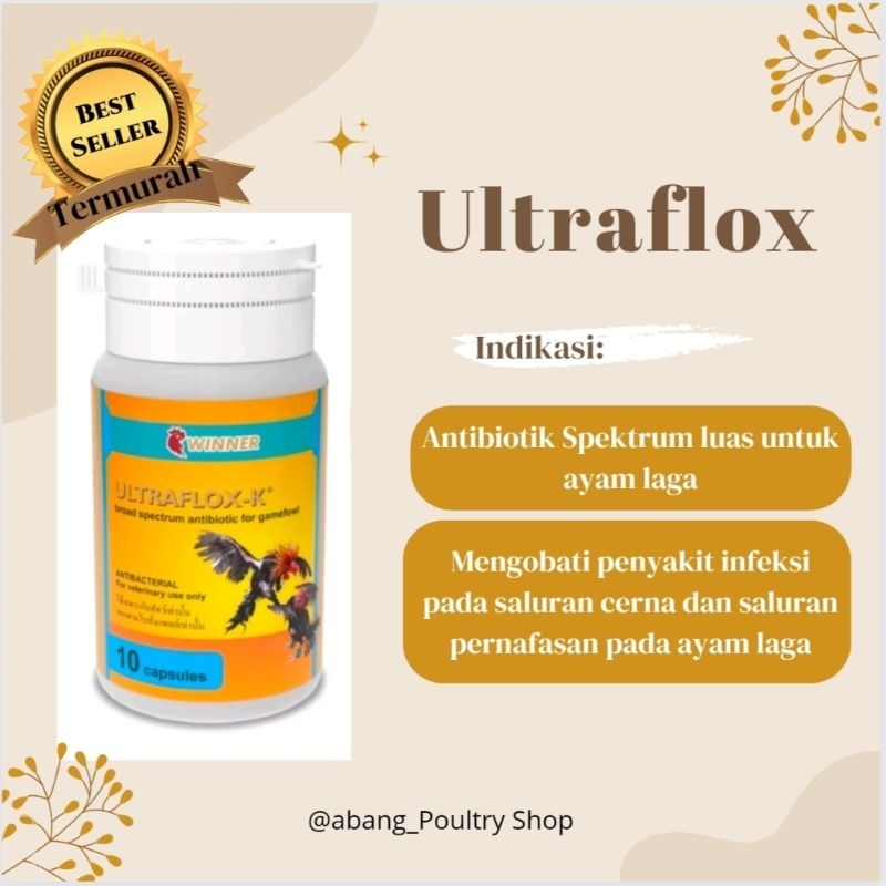 ULTRAFLOX-K 10 KAPSULObat Ngorok Feses Darah Ayam Adu Laga ULTRAFLOX-K 10 kapsul MEDION AYAM NGOROK