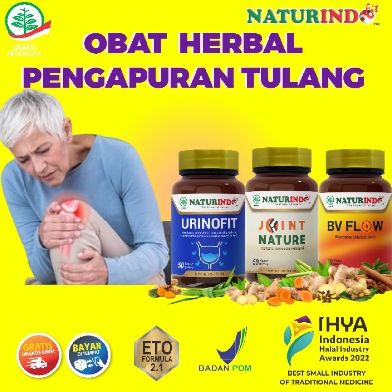 PAKET HERBAL PENGAPURAN, SENDI LUTUT, LUTUT KOPONG, OSTEOARTHRITIS, RHEMATOID ARTHRITIS, REMATIK