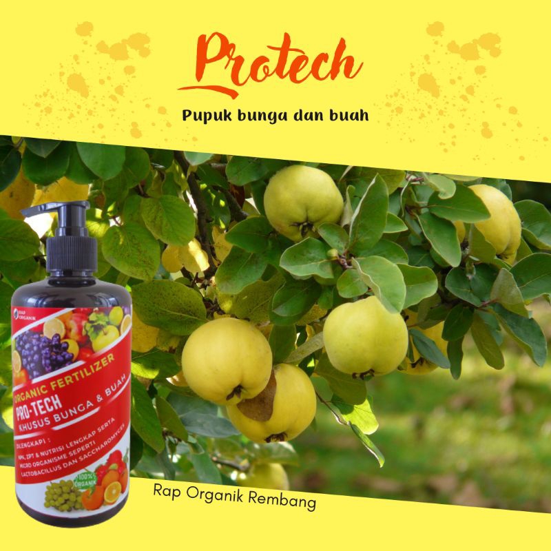 pupuk bunga dan buah