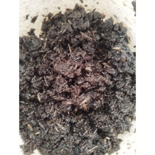 GROSIR BUHUR, BUKHUR, BAKHOOR BASAH KASTURI