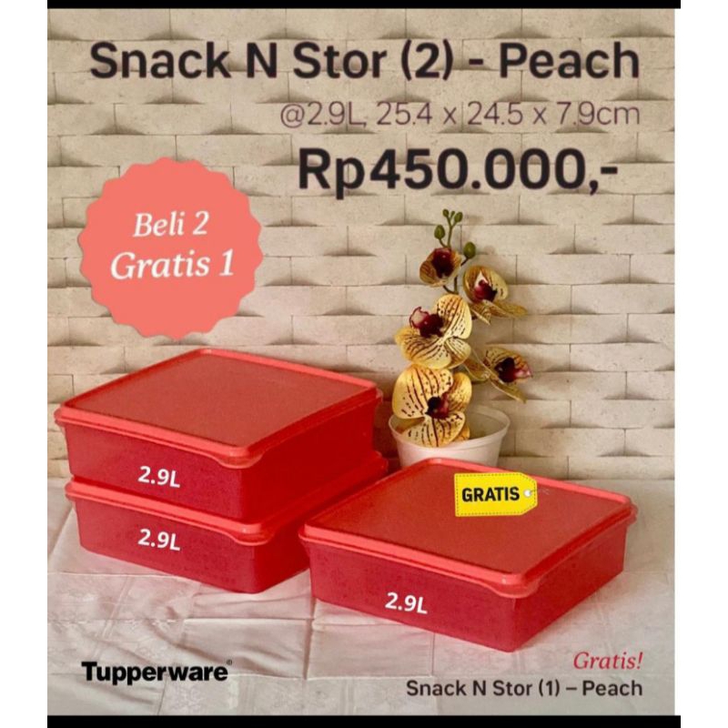 Tupperware snack n stor
